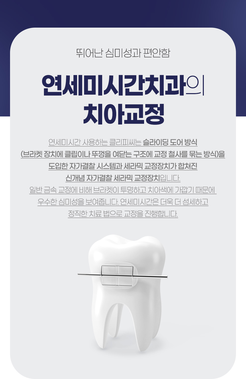 �����̽ð�ġ���� ġ�Ʊ���