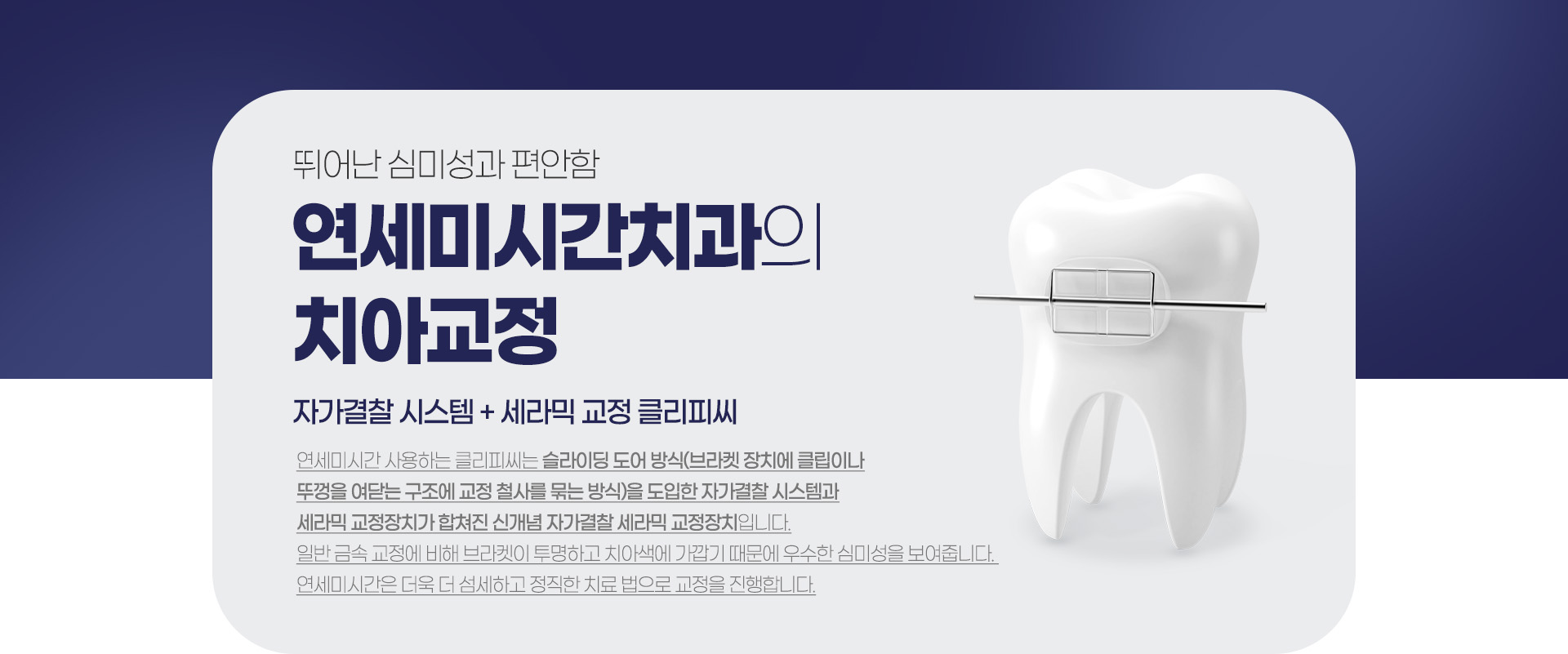 �����̽ð�ġ���� ġ�Ʊ���